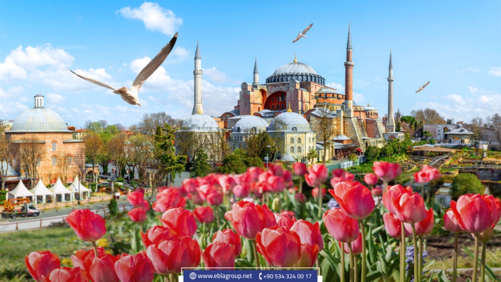 Asian Side or European Side of Istanbul, which is better? | Ebla